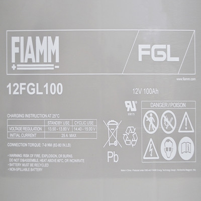 FIAMM General Purpose 12V 100Ah (12FGL100)
