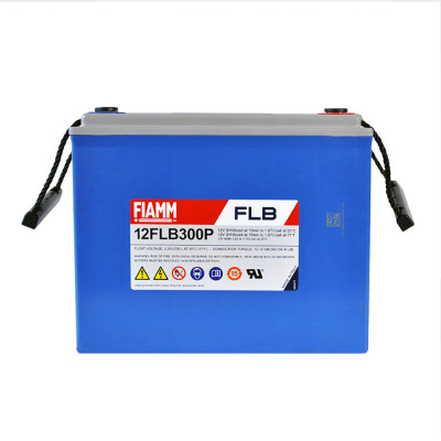 FIAMM High Performance 12V 80Ah (12FLB300P)