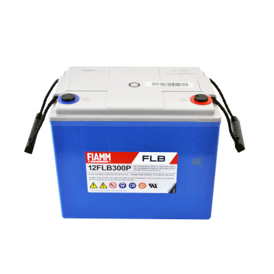 FIAMM High Performance 12V 80Ah (12FLB300P)