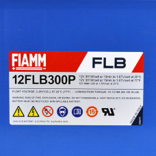 FIAMM High Performance 12V 80Ah (12FLB300P)