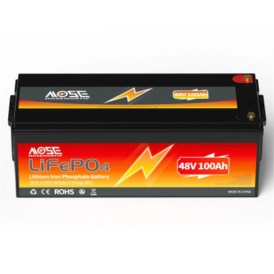 Акумулятор MOSEWORTH LiFePO4 48V/100AH (4800W*h) (літій-залізо-фосфатний акумулятор для ДБЖ (UPS))