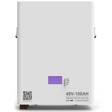 Акумулятор Dipower Wall Mounted 48V/100AH, 4800W*h (BYD NMC, 13S1P, літій-іонний акумулятор для ДБЖ (UPS))