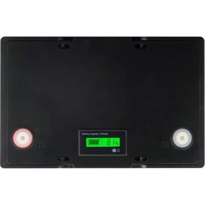 Акумулятор JSDS LiFePO4 12V/100AH (1280W*h), 12100LED, (260х170х215) мм, для будинку, котла, сонячних батарей)