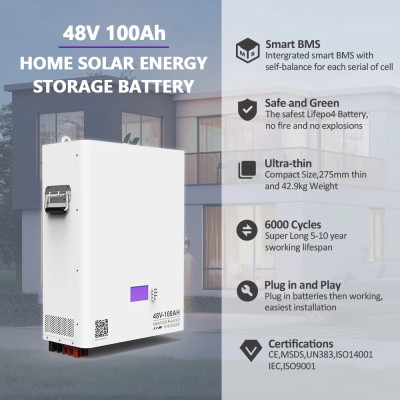 Акумулятор Dipower Wall Mounted 48V/100AH, 4800W*h (BYD NMC, 13S1P, літій-іонний акумулятор для ДБЖ (UPS))