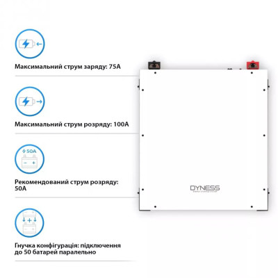 Акумулятор DYNESS DL5.0C, LiFePO4 51,2V/100AH (5120W*h) з підігрівом та Wi-Fi модулем