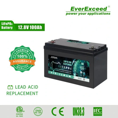 Акумулятор EverExceed LiFePO4 12V/100AH (1280W*h) (літій-залізо-фосфатний акумулятор для ДБЖ (UPS))