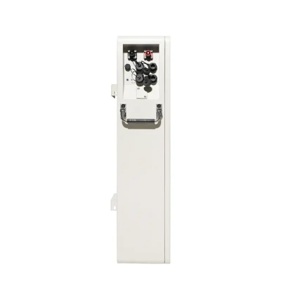 Акумулятор LPBA48100-OL Felicity LiFePO4, 51,2V/100AH, 5120W*h (літій-залізо-фосфатний акумулятор для ДБЖ (UPS))